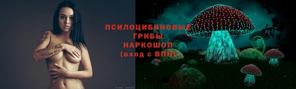 ALPHA PVP Алексеевка