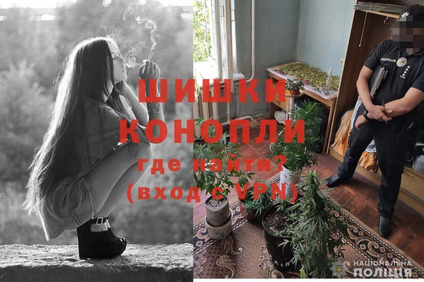 прущие крисы Пестово