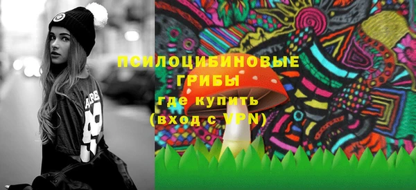прущий лед Алексин