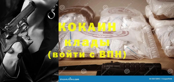 амф Пересвет