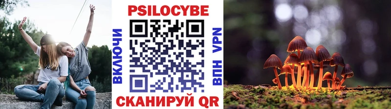 где купить наркоту Кирсанов Галлюциногенные грибы MAGIC MUSHROOMS